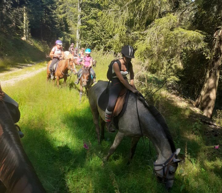 Centres de tourisme équestre dans les Vosges proposant de la randonnée  équestre